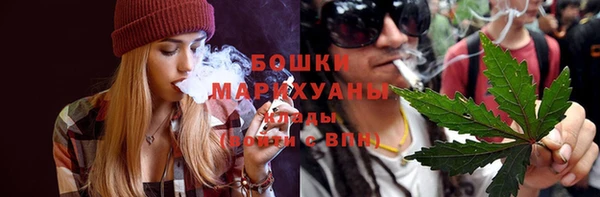 дживик Заводоуковск