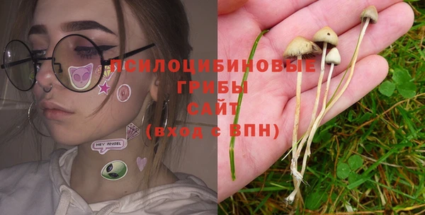 mix Зерноград
