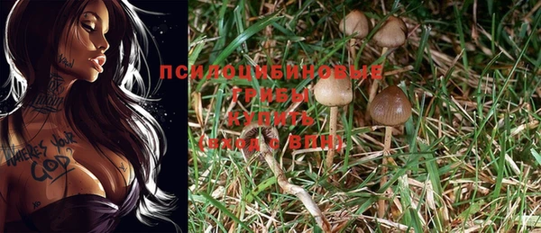дживик Заводоуковск